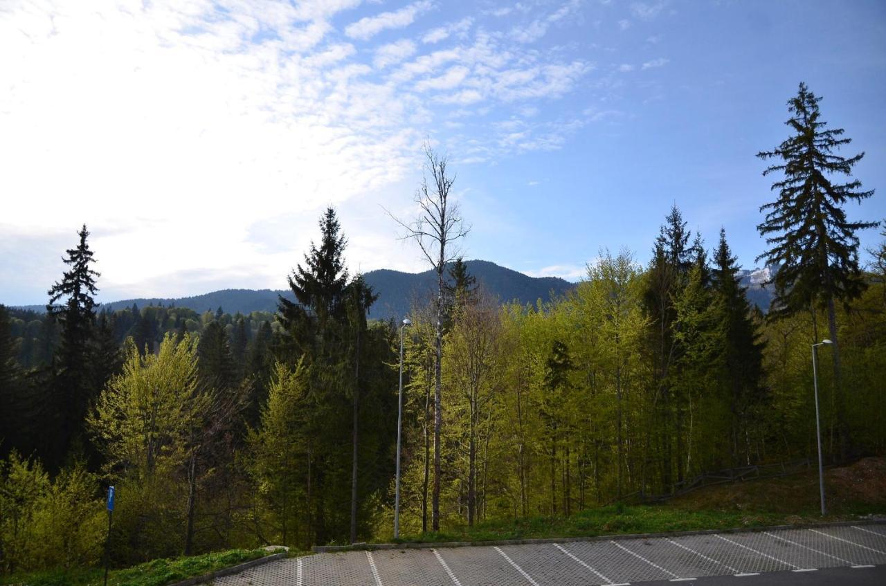 Silver Pine Apartment Poiana Brașov Zewnętrze zdjęcie