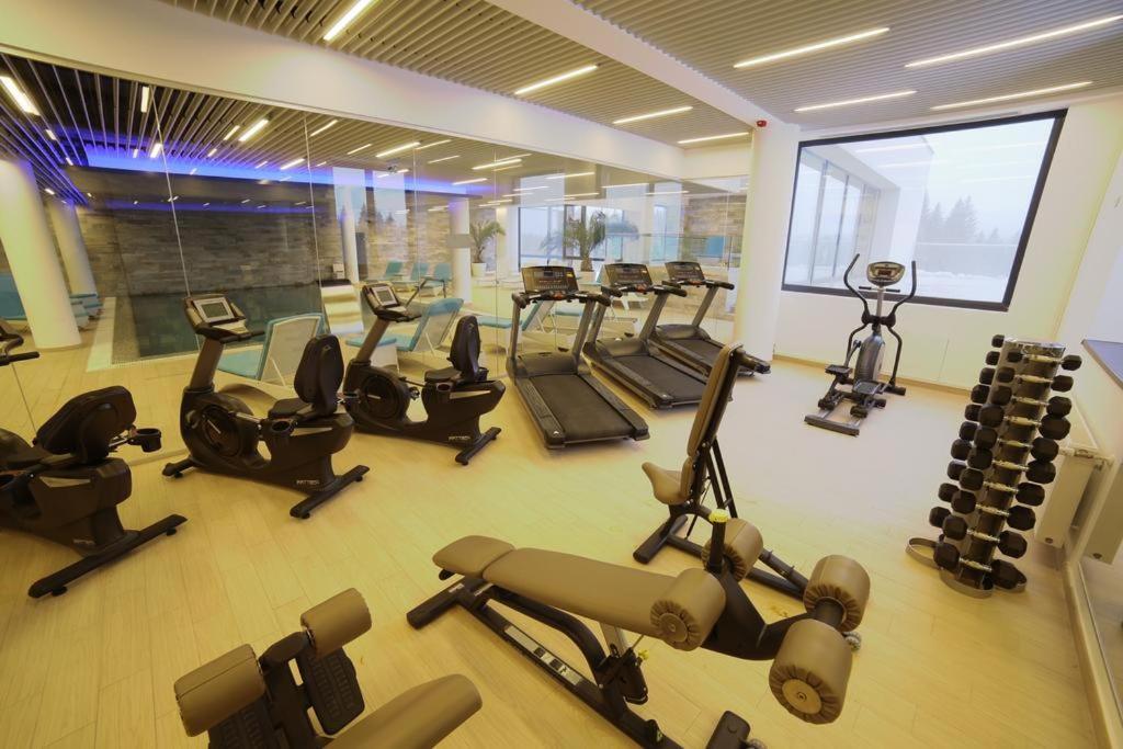 Silver Pine Apartment Poiana Brașov Zewnętrze zdjęcie
